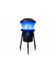 TUE - INSECTES UV PAR...
